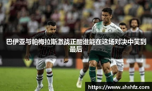 乐鱼体育官网